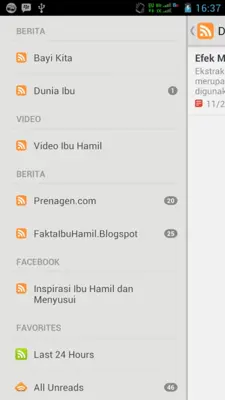 Panduan Ibu Hamil android App screenshot 2